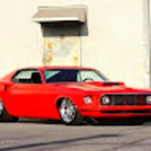 Meet your Posher, Riley